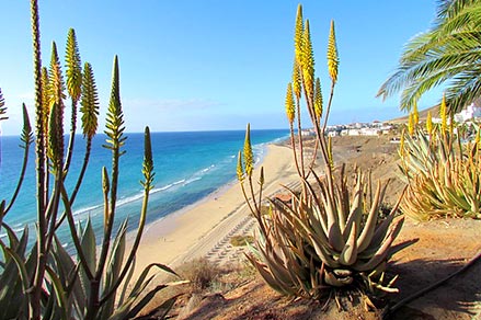 Spanien Fuerteventura